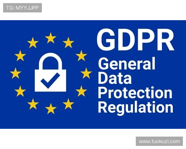 亚愽全站：亚愽全站的安全保障措施与用户隐私保护策略详解