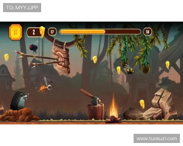 探索尊龙游戏娱乐中的各种精彩游戏内容