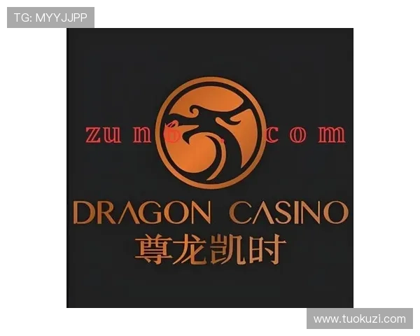 尊龙凯时官网下载常见问题解答帮助玩家快速解决疑难