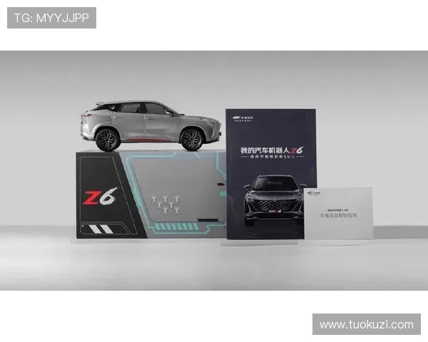 Z6集团登录入口指南及常见问题解决方案详解